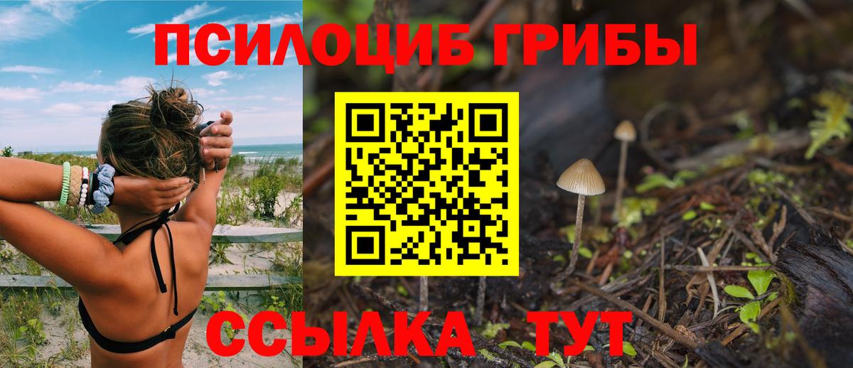 Галлюциногенные грибы Magic Shrooms Вятские Поляны