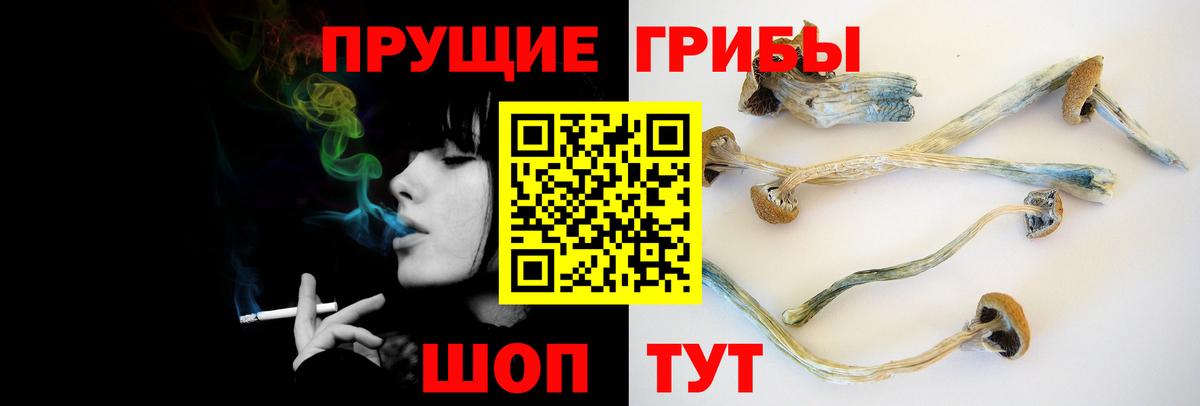 Мефедрон кристаллы  Вятские Поляны  Кокаин  АМФЕТАМИН кристаллы  Вход с VPN  ГАШ  Бошки Шишки 